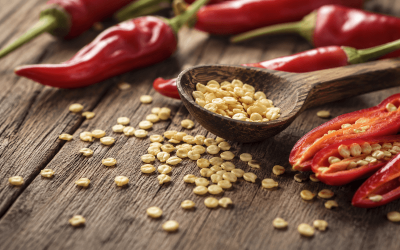Főoldal 12 Chili paprika mag – Minden, amit érdemes tudni a sikeres termesztés alapjáról