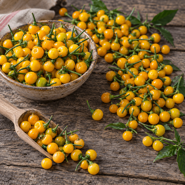 Aji Charapita – A különleges perui chili titkai 2 Aji Charapita Rusztikus sarga paprikaboseg facseszeben